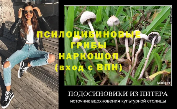 прущая мука Нея