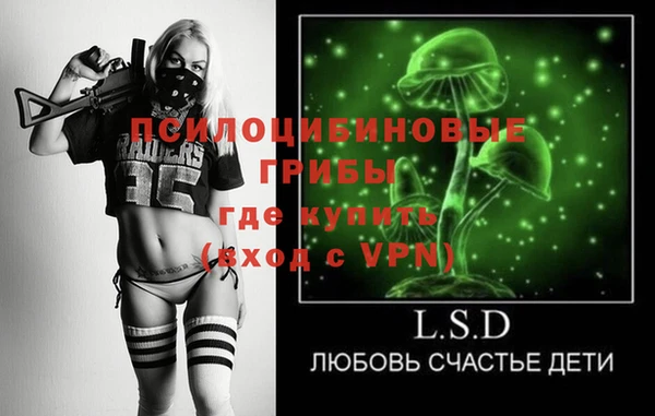 прущая мука Нея
