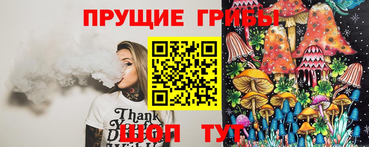 APVP Ставрополь