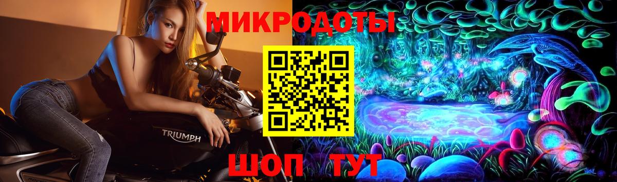 Галлюциногенные грибы прущие грибы Ставрополь