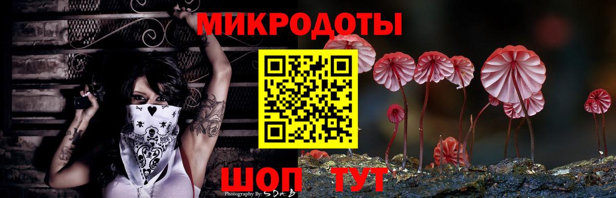Галлюциногенные грибы Psilocybine cubensis  как найти закладки  Галлюциногенные грибы Magic Shrooms  Ставрополь  Вход с VPN 